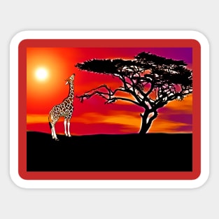 African Acacia Tree Sticker